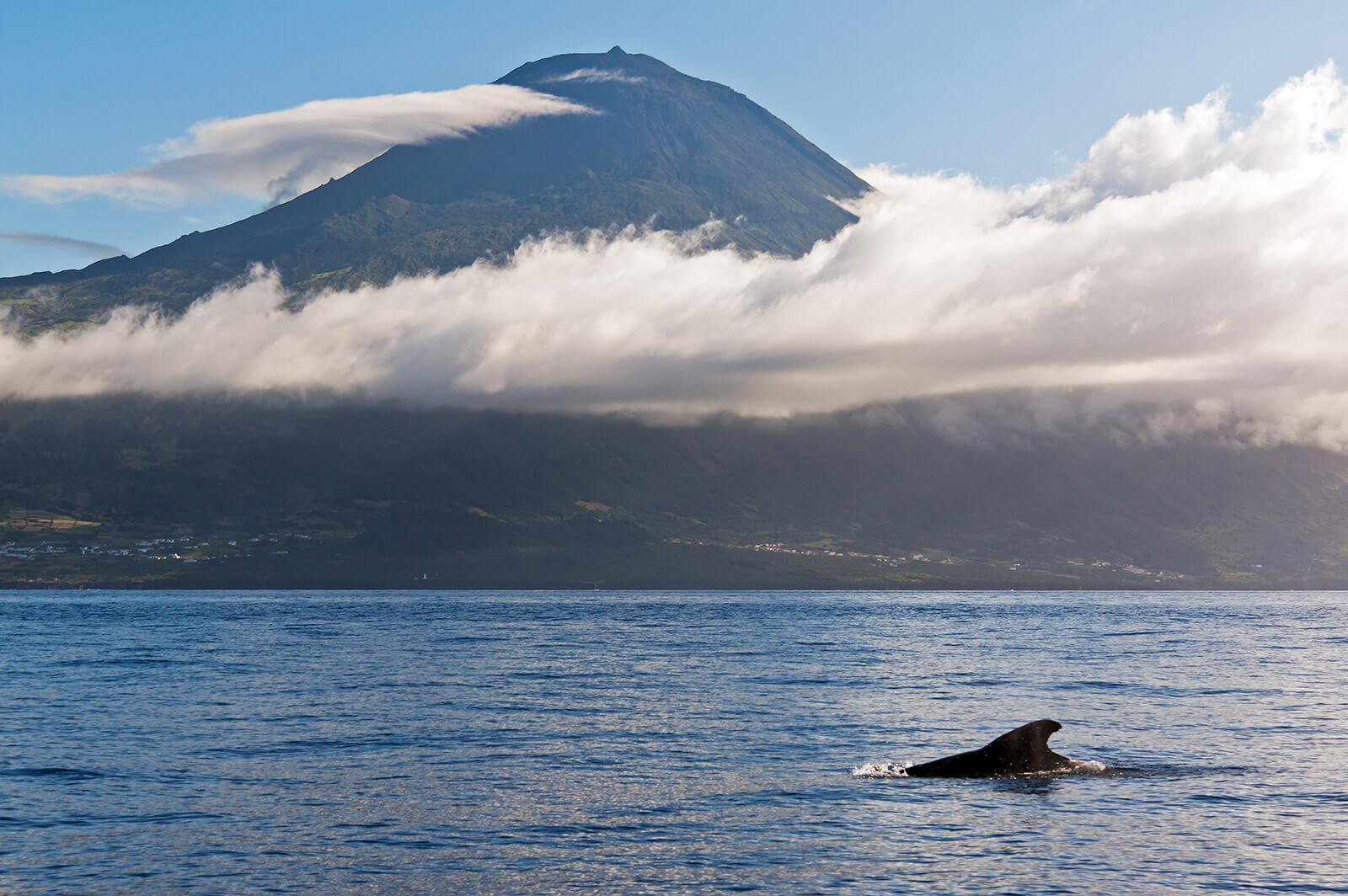 Portugal_Azores